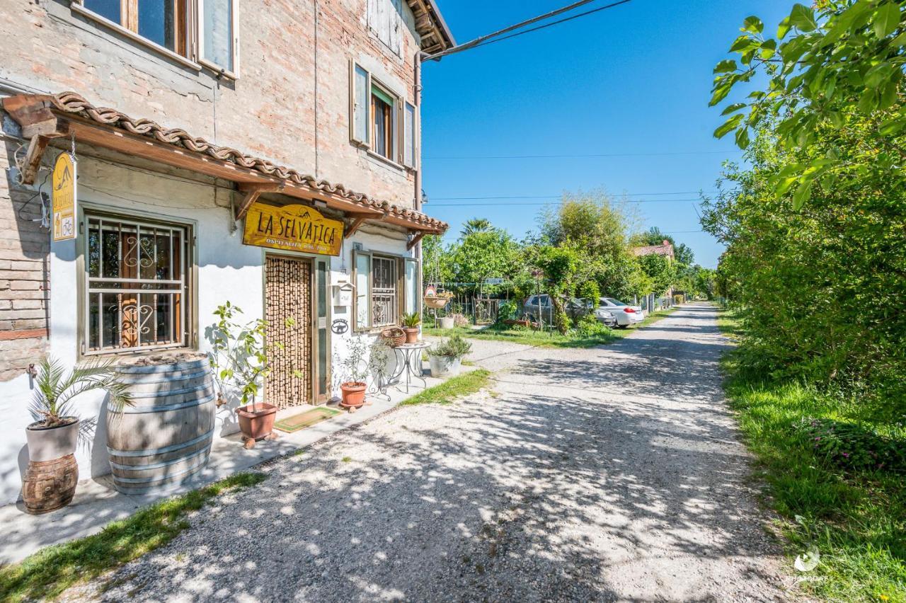 Selvatica50 B&B Nonantola Bagian luar foto